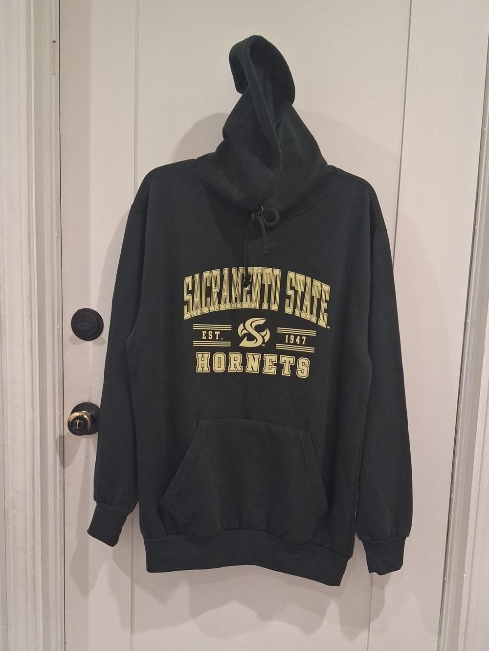Men's Hooded Sweatshirt